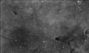 城市深空：NP101IS眼里的象鼻星云IC1396