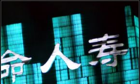 泥坑的第一次直焦，庆祝一下