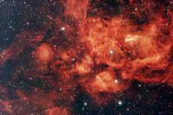 陕西白河继续打野