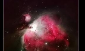 M42