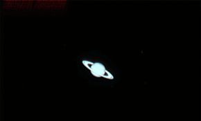 发张星野请教下！