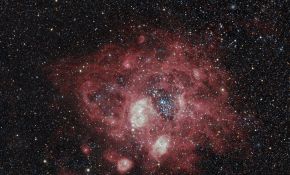 南天系列之八：NGC1763 南天玫瑰