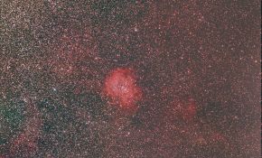 (使用星明XP2)月光下的玫瑰