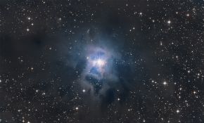 小黑 NGC7023 莺尾花