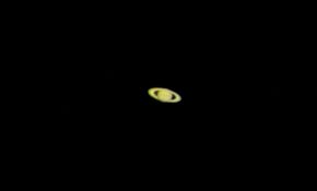 东星小白炮2倍巴罗萌土星