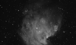 Monkey nebula