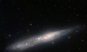 Irregular Galaxy NGC 55