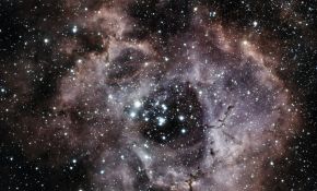 NGC2244 玫瑰星云