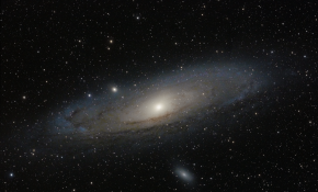 65开光———M31和酱油玫瑰