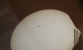 我看太阳的安全方便效果也不错的方法
