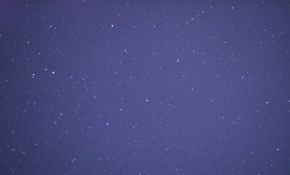 来看满天星
