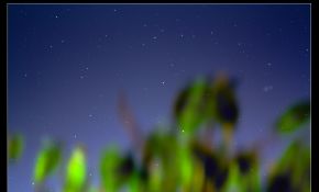 京城玉渊潭南树林随手星空