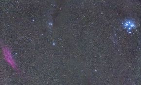 来两个广域快餐