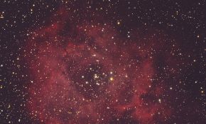 -----锐星106的下的玫瑰---