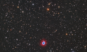 M57小玫瑰