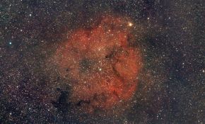 尼康180F2.8D拍象鼻 IC1396