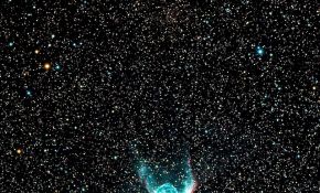 小院拍Thor's Helmet
