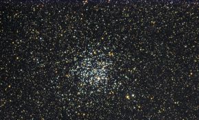 M11