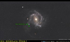 M61星系中的超新星SN2020jfo