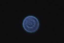 刚才拍了颗星星，就天空正南方最亮的那颗，是啥星星啊？
