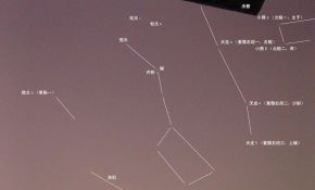 龙套星野7.30