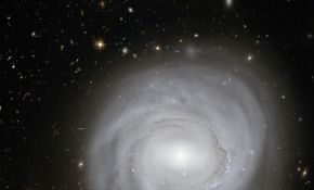 贫血星系：NGC 4921