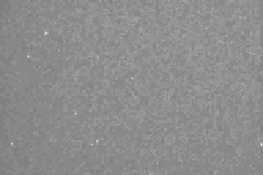 偶发流星和反太阳源流星的视频截图