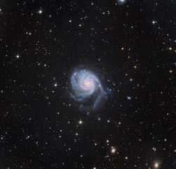 M101打野