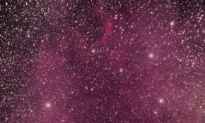 摄影半新人第23照 - 北美星云