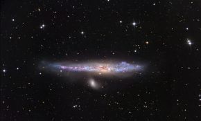 鲸银河:NGC 4631