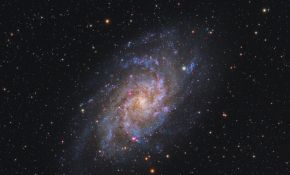 M33