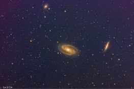 m81