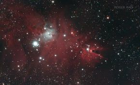 NGC2264 聖誕樹星雲