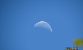半个月亮爬上来 - 今天上午的月亮 -  再补今天的最细月牙