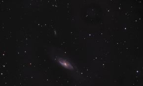 M106-咸鱼每月一拍