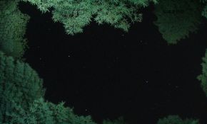 竹林星夜--星野专题摄影