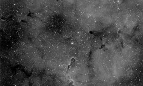 IC1396象鼻星野快餐