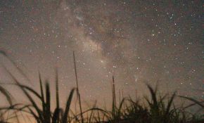新手第一次拍星野，麻烦各位大侠少赞扬，多拍砖，多鼓励