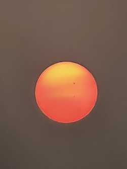 2026.3.6路边随手一拍