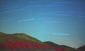 火炬树夜星轨