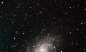 M33