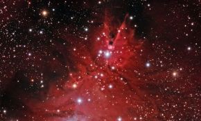 圣诞树星团