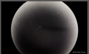 卡片机城里深空之 第33晚 --- ( M11 野鴨星團 )