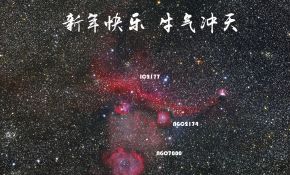 星云牛（贺年·牛气冲天）