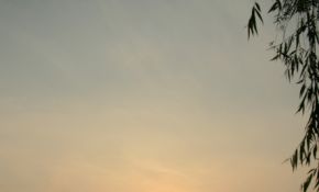 在公园随便拍张落日