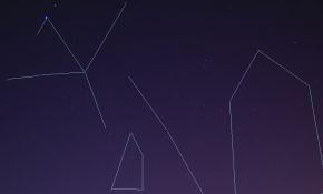 市区星野