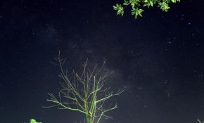 一组星野