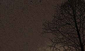 郊区树枝上的星空