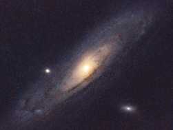 M31