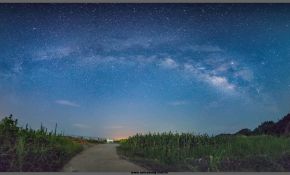 2017年7月拍的星野